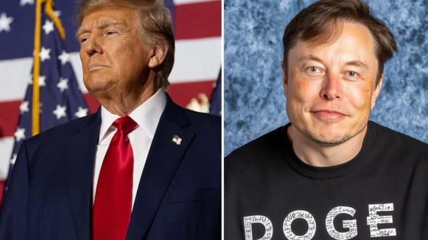 Trump minaccia Musk: “Senza sussidi governativi, dovrebbe tornare in Sudafrica”