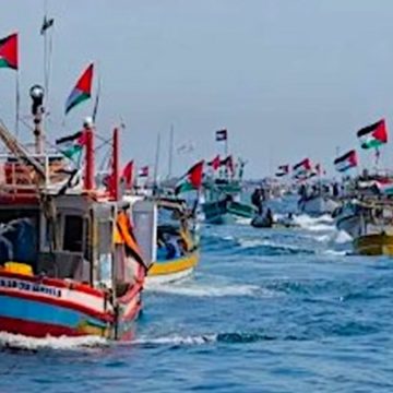 Global Sumud Flotilla, chi sono i quattro parlamentari italiani che salpano per Gaza