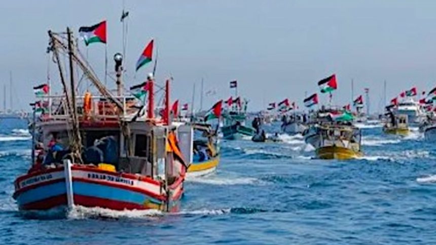 Global Sumud Flotilla, chi sono i quattro parlamentari italiani che salpano per Gaza