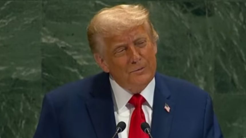 Trump all’Onu: “Ho posto fine a sette guerre in sette mesi, voi non avete dato una mano”